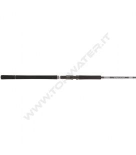 Daiwa 25 Saltist X SJ