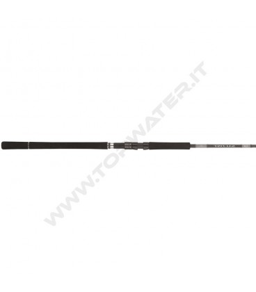 Daiwa 25 Saltist X SJ