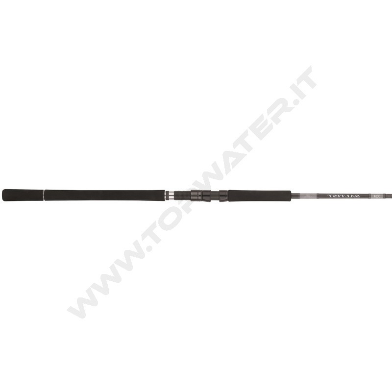 Daiwa 25 Saltist X SJ