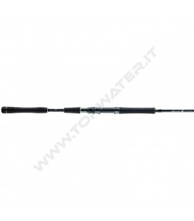 Molix Fioretto X Limited Edition