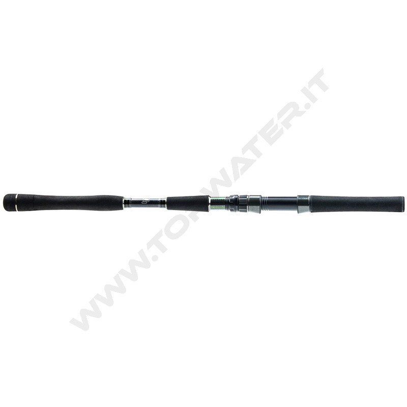 Molix Fioretto X Limited Edition