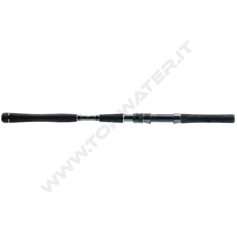 Molix Fioretto X Limited Edition