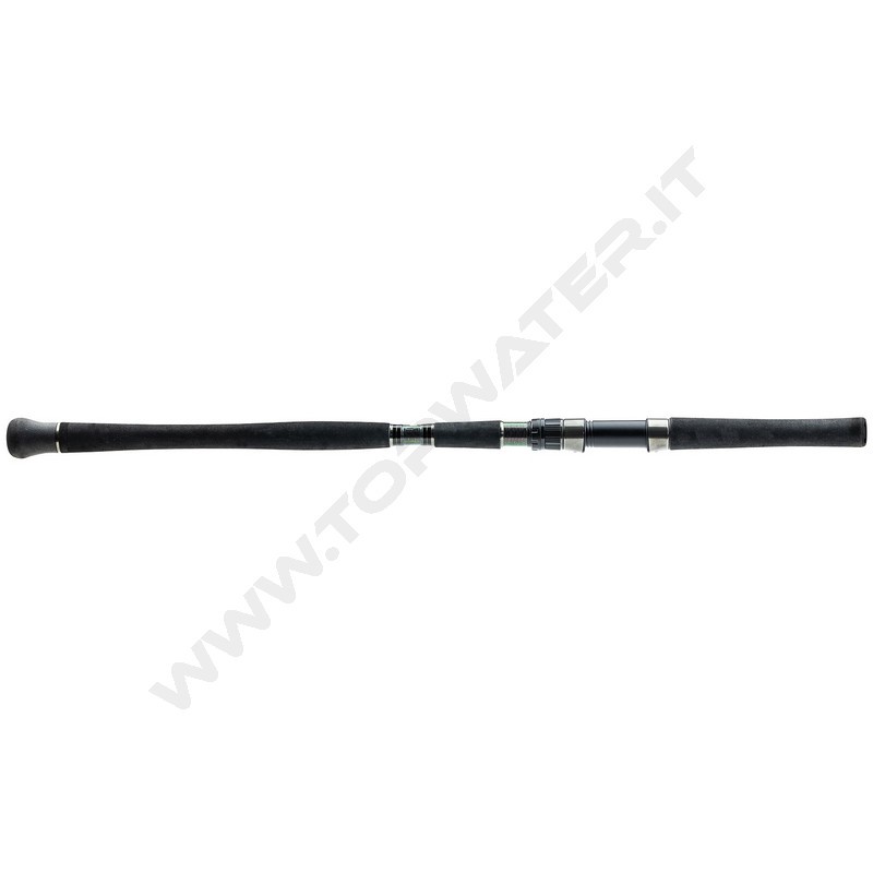 Molix Fioretto X Limited Edition