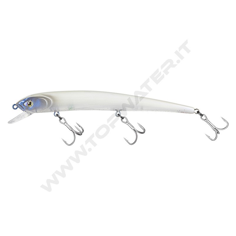 Molix Audace EVO 130