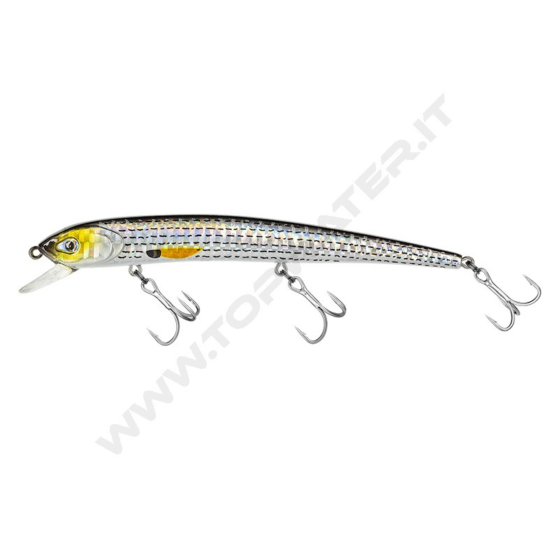 Molix Audace EVO 130