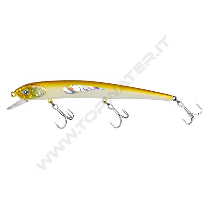 Molix Audace EVO 130