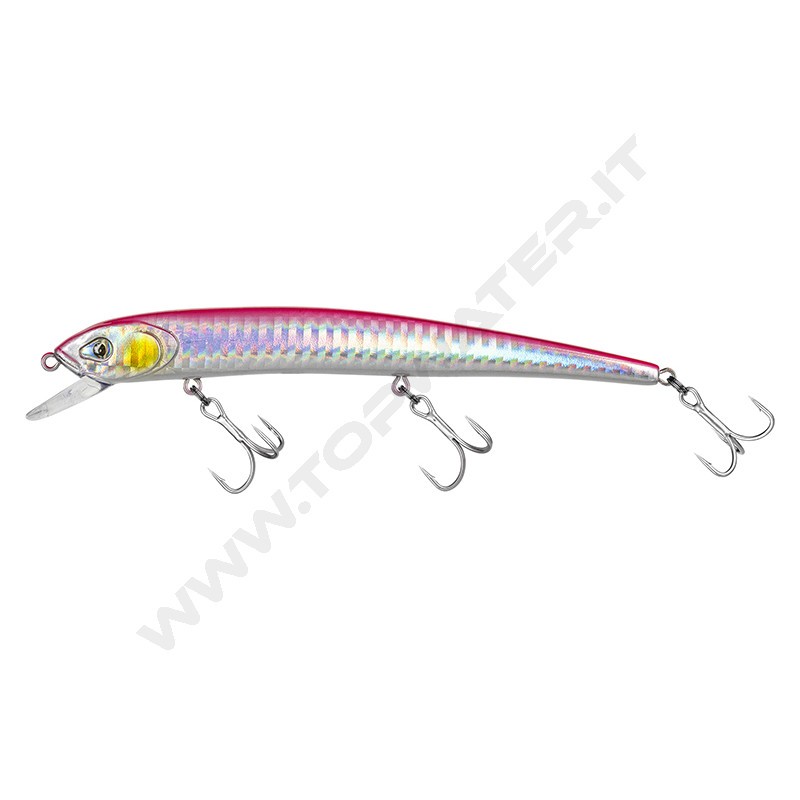 Molix Audace EVO 130