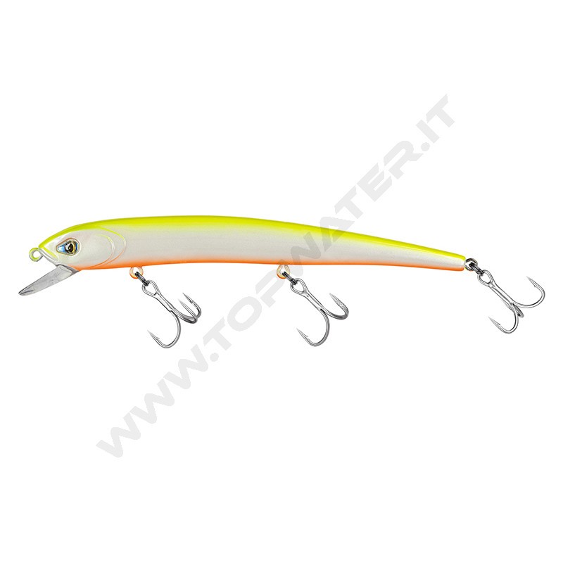Molix Audace EVO 130
