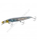 A Silver Sardine