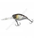 Baitfish