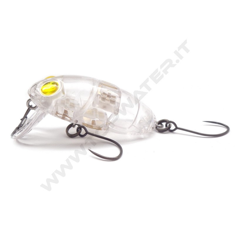 Nories Boss Pupa Shallow