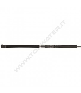 Daiwa Saltist SX SJ Jig Special