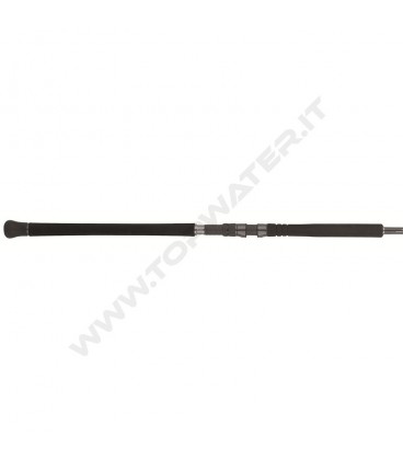 Daiwa Saltist SX SJ Jig Special