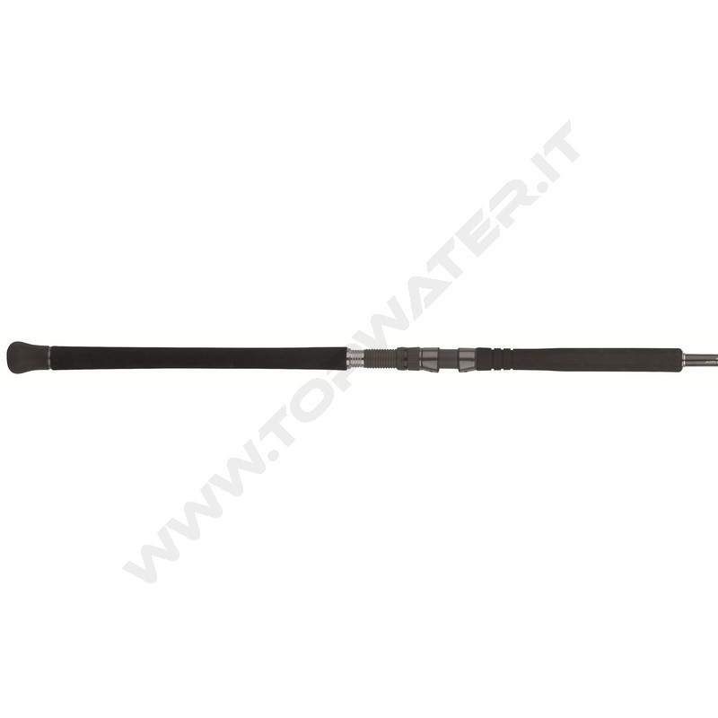 Daiwa Saltist SX SJ Jig Special