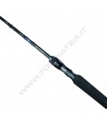 Daiwa 25 Emeraldas Tataki