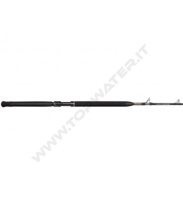 Penn Marine Brigade Trolling rod