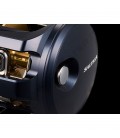 Daiwa 25 Saltiga 300HL