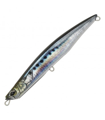 Real Sardine