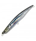 Real Sardine