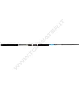 Shimano Bassterra XT Shore Jigging