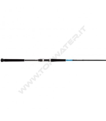 Shimano Bassterra XT Shore Jigging
