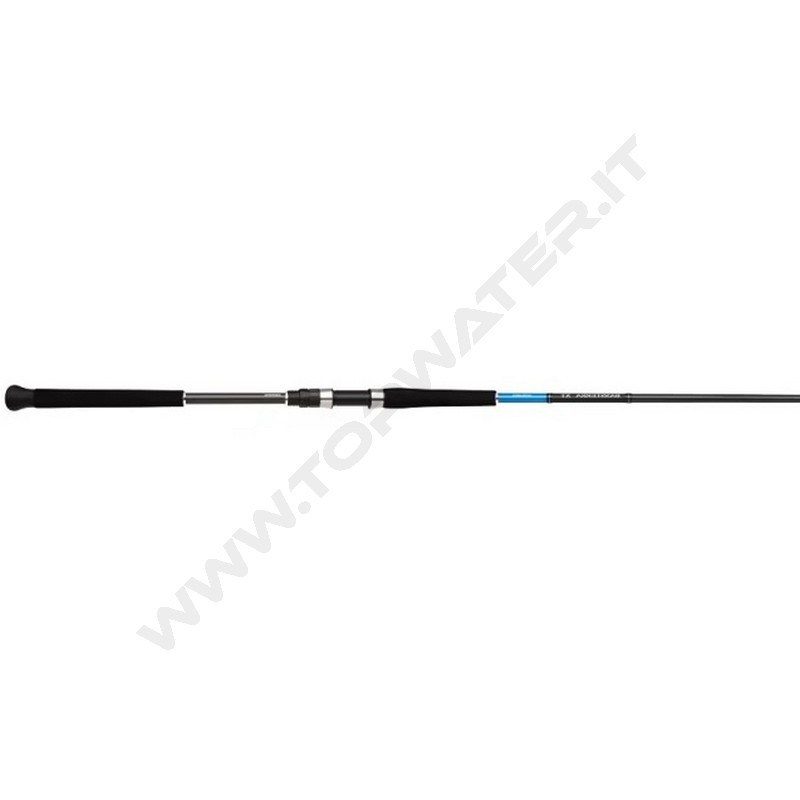 Shimano Bassterra XT Shore Jigging