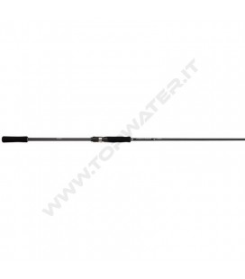 Shimano Bassterra A Seabass Spinning