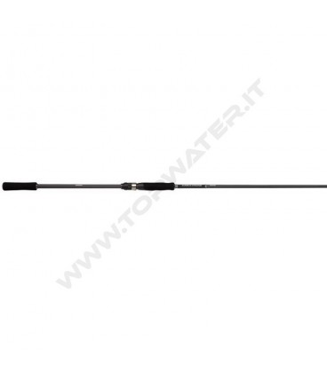 Shimano Bassterra A Seabass Spinning