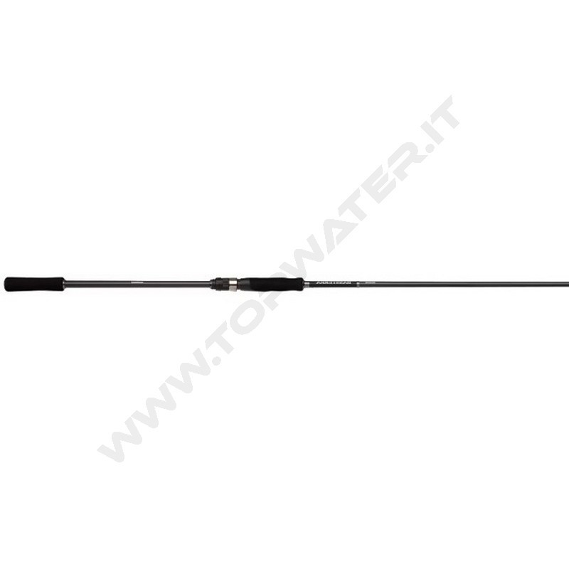 Shimano Bassterra A Seabass Spinning