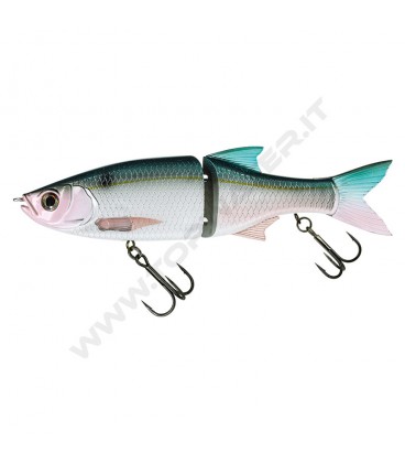 Threadfin Shad