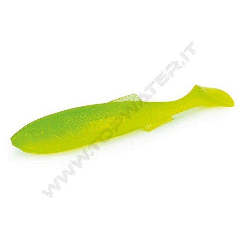 Molix RT Paddle Flex