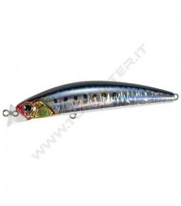 Genkai Sardine