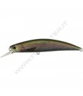 Rainbow Trout ND