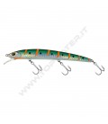 Anchovy Orange Striped