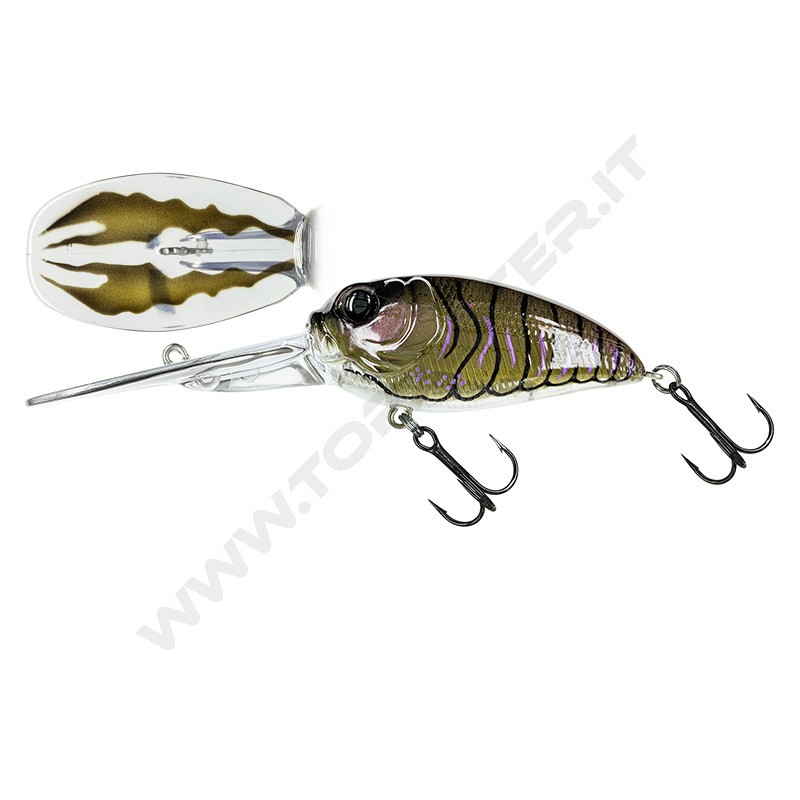 Molix Sculpo XD R Extra Deep