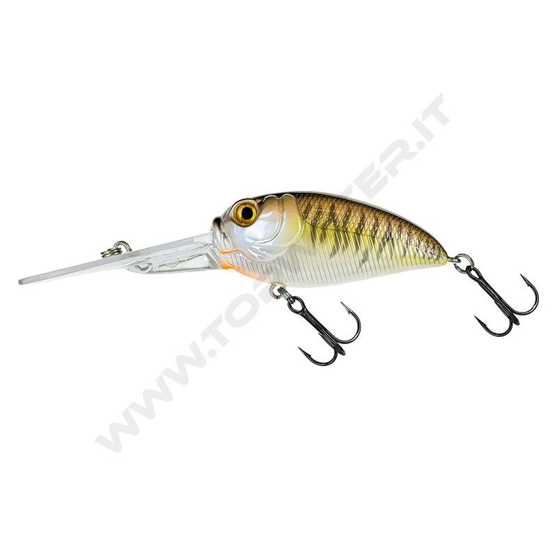 Molix Sculpo XD R Extra Deep