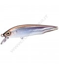 Pond Smelt