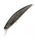 Brown Trout ND