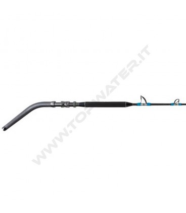 Shimano Talica Standup Spiral