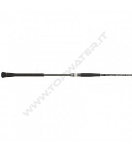 Daiwa Legalis Jigging Spinning