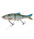 Threadfin Shad