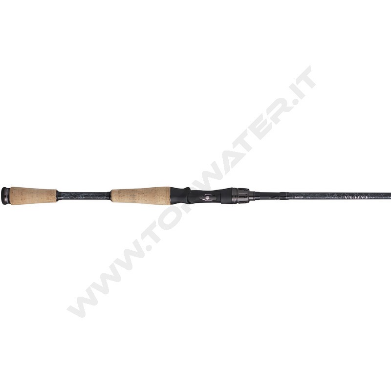 Daiwa 25 Tatula canne Casting