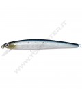 Metallic Sardine