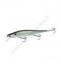 Live Threadfin Shad