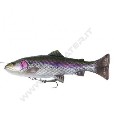 Rainbow Trout