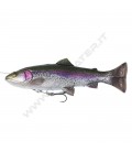 Rainbow Trout