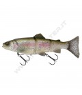 Clear Rainbow Trout
