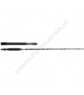 Shimano Tyrnos B Trolling Lite