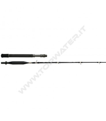 Shimano Tyrnos B Trolling Lite