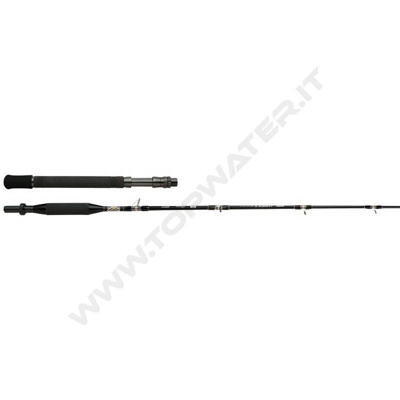 Shimano Tyrnos B Trolling Lite